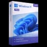 Windows 11