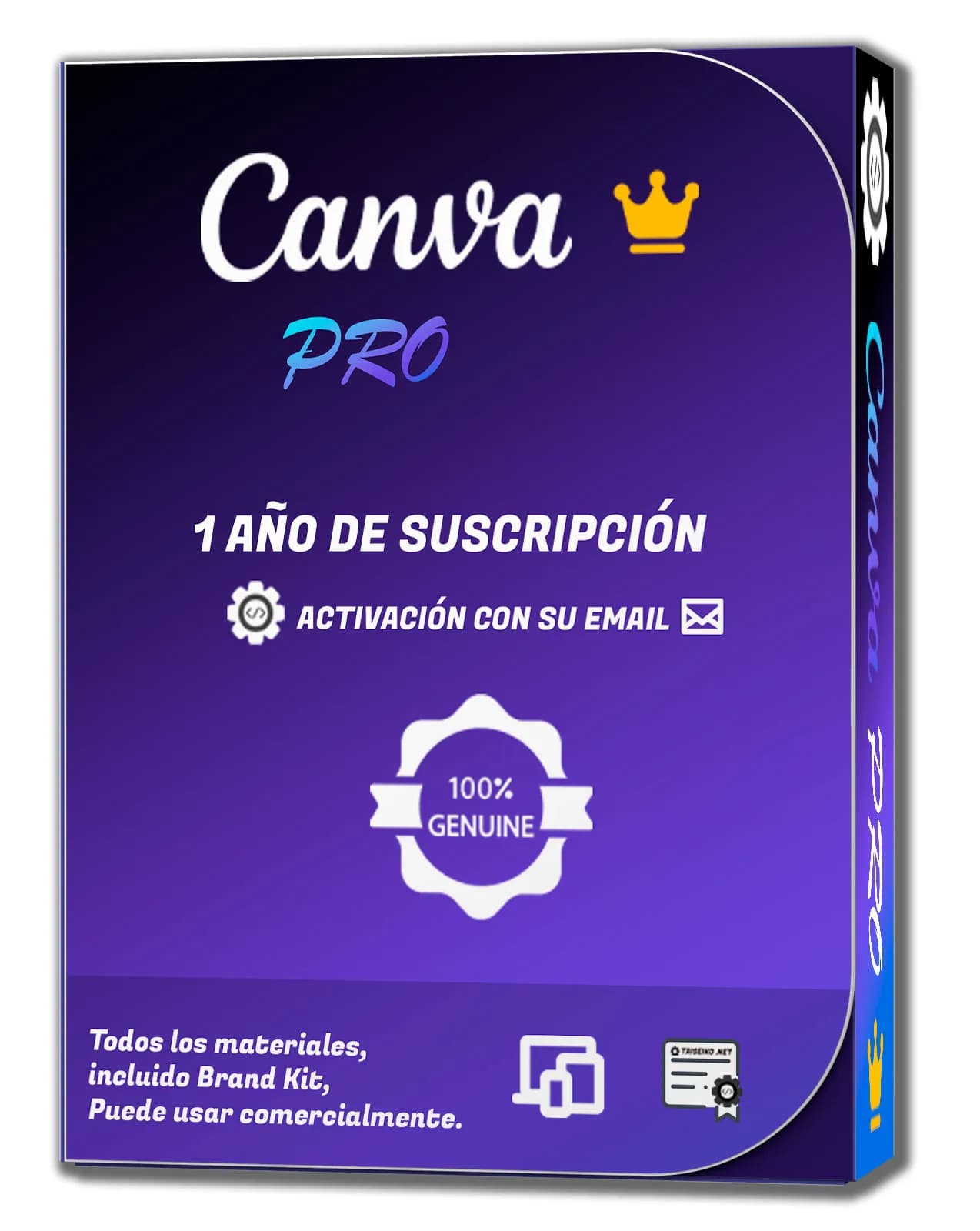 Canva Pro 1 Año