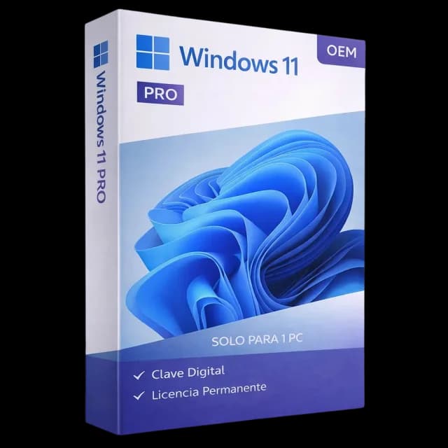 Windows 11 pro
