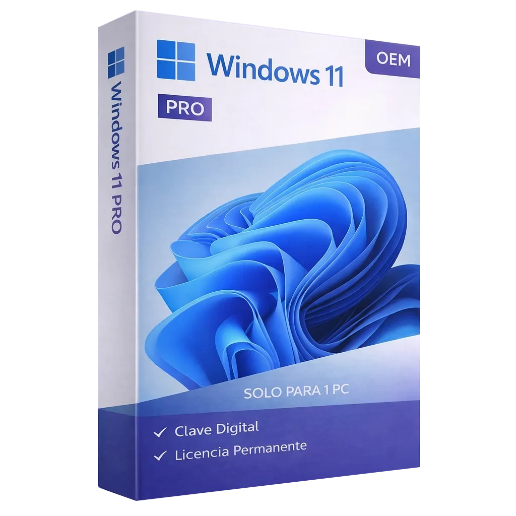 Windows 11 Professional