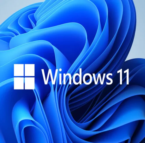 Windows 11 pro