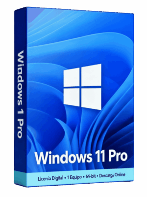 Windows 11 pro (1)